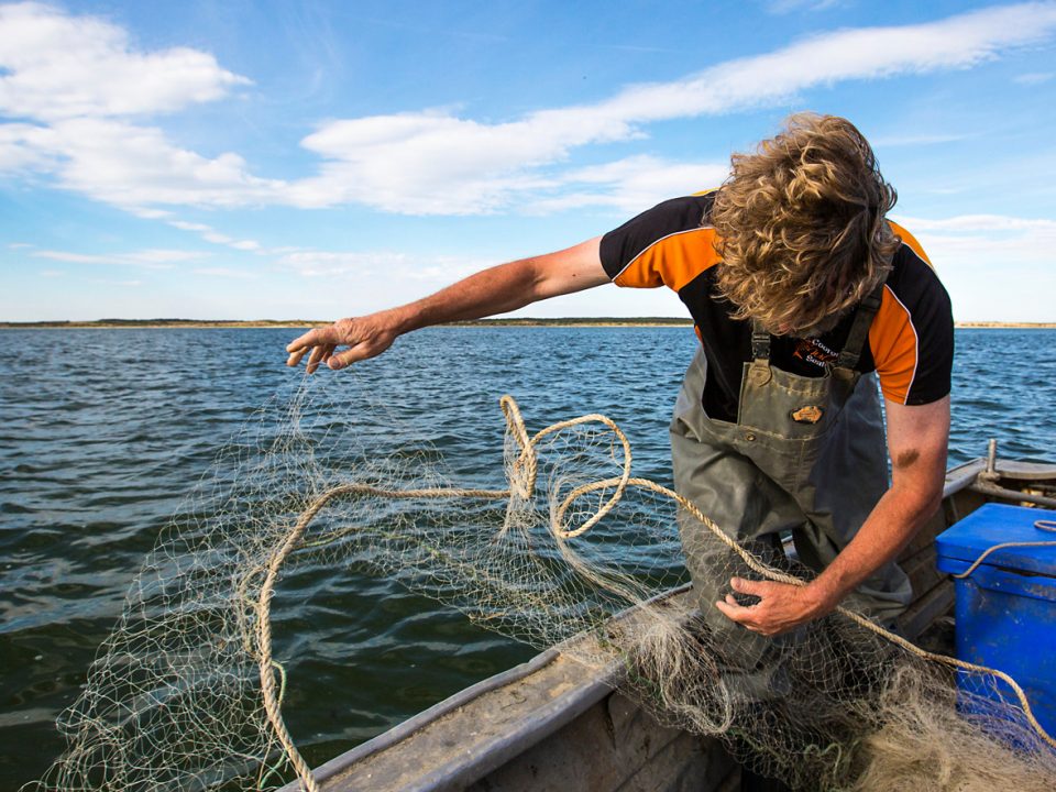 Coorong Wild Seafood