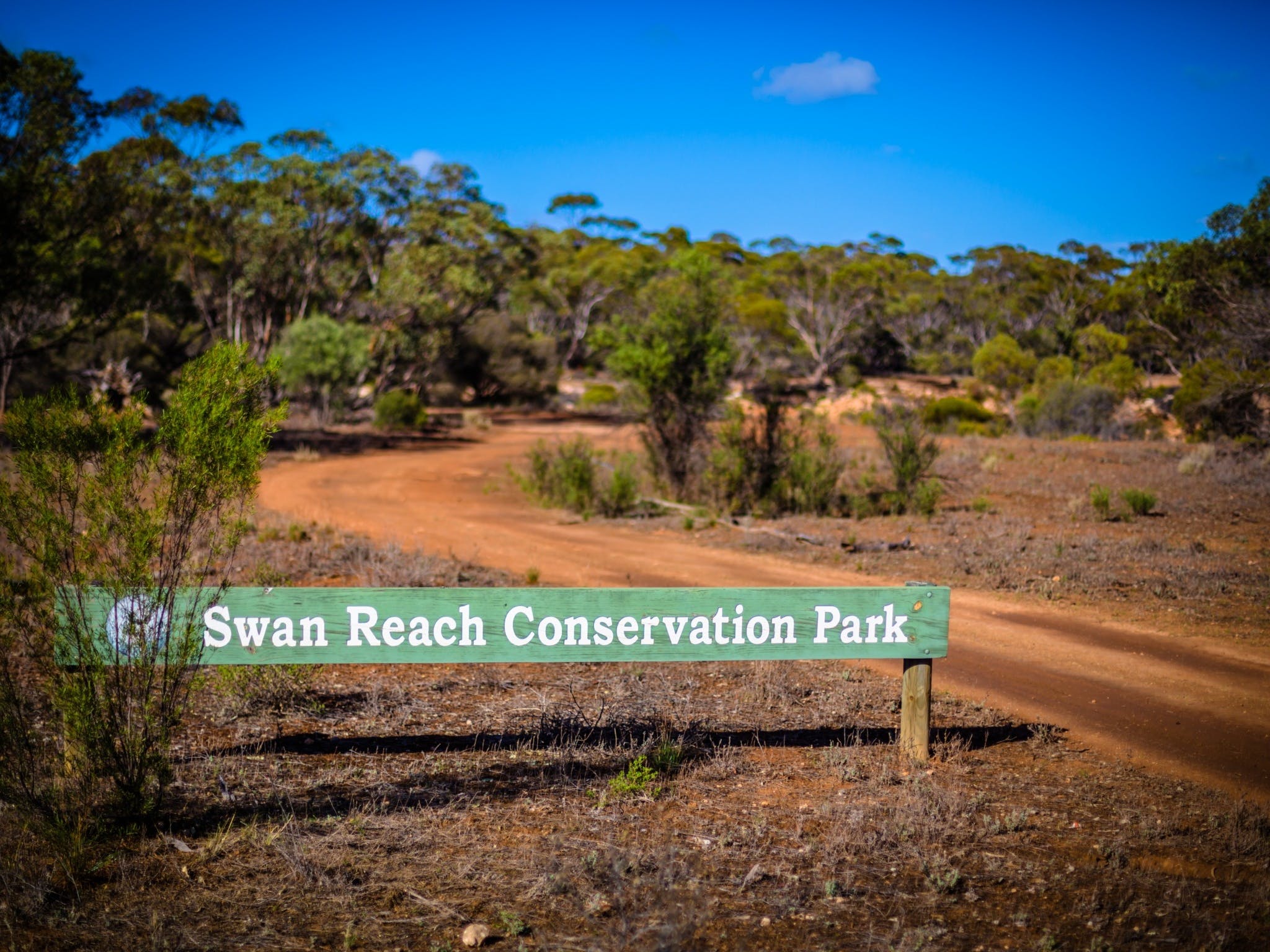 swan-reach-conservation-park-murray-river-lakes-and-coorong